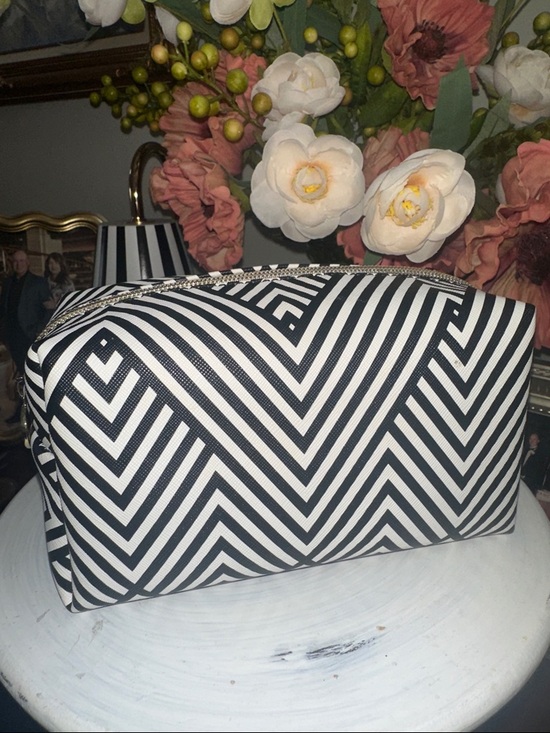 Dabney Lee Handbags - Dabney Lee Black and White Zebra Zigzag Cosmetic Bag NWOT